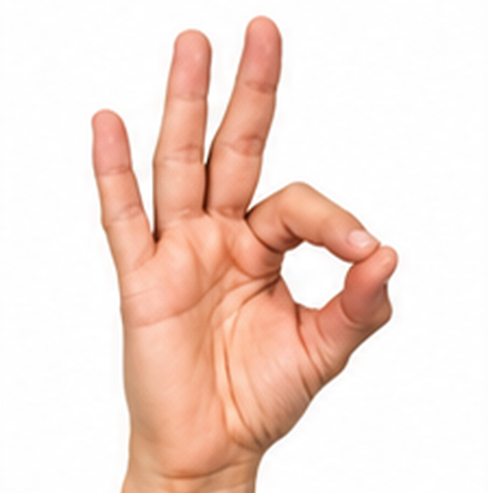 ASL Letter F Sign Language Hand Gesture