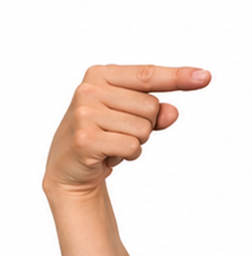 ASL Letter G Sign Language Hand Gesture