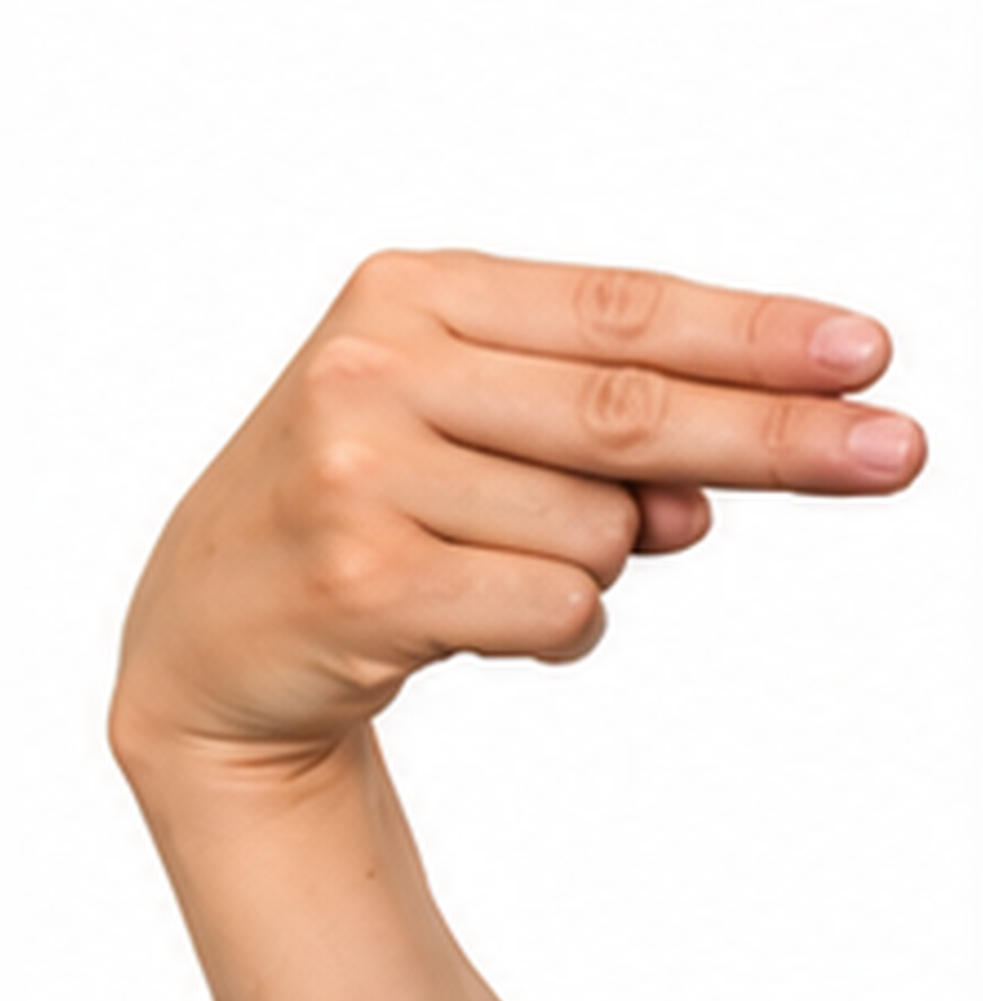 ASL Letter H Sign Language Hand Gesture