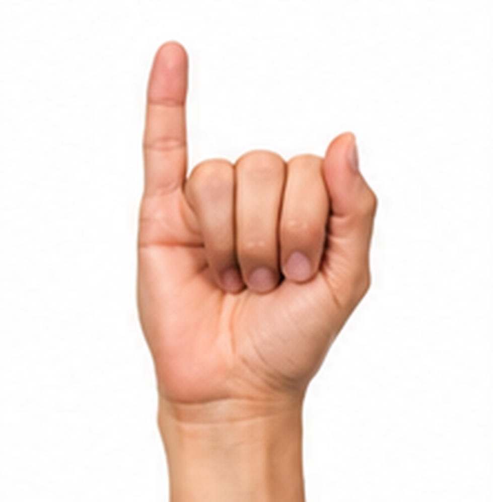 ASL Letter I Sign Language Hand Gesture