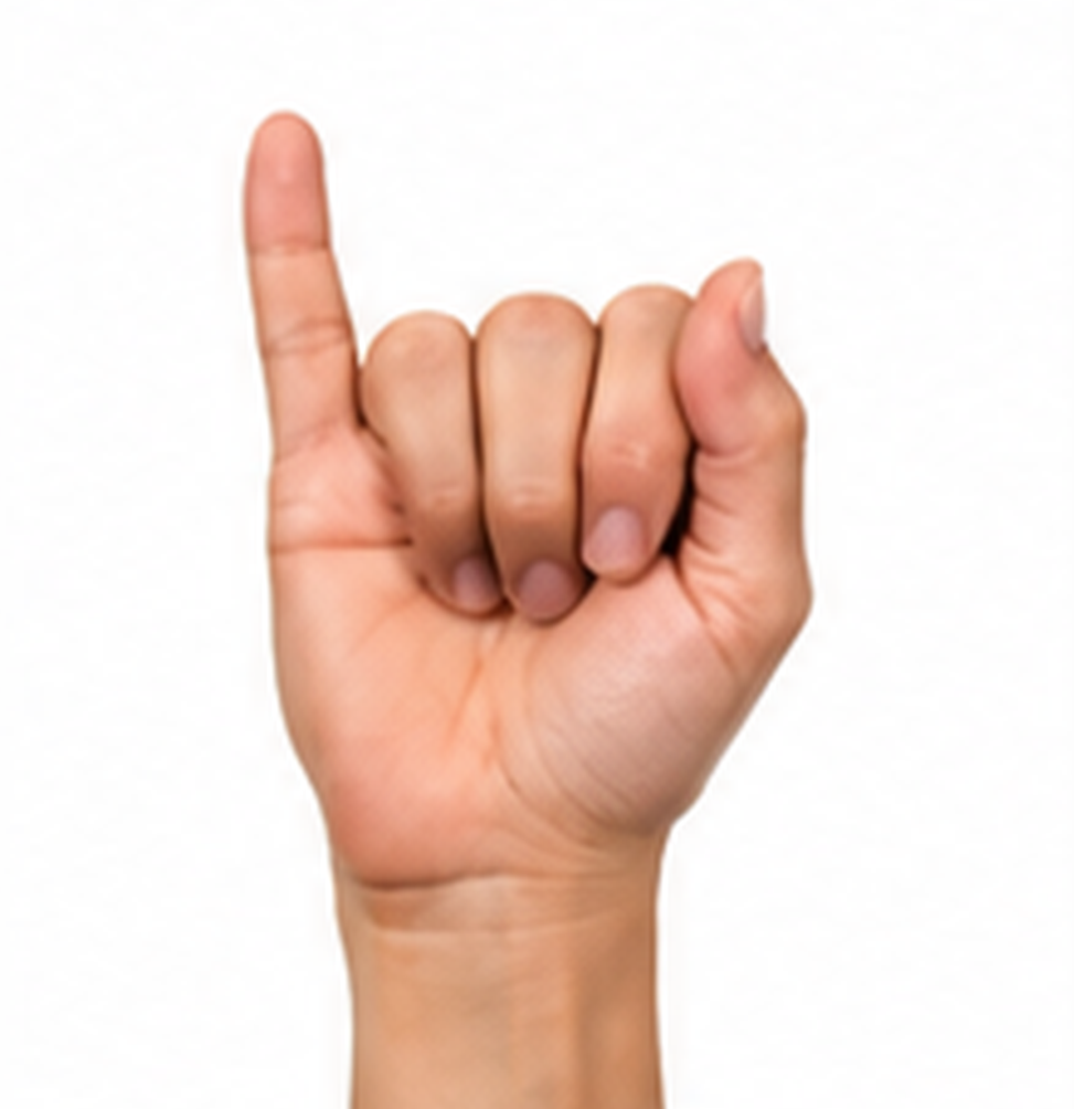ASL Letter J Sign Language Hand Gesture