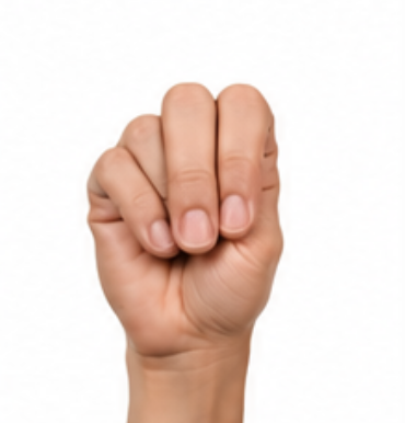 ASL Letter N Sign Language Hand Gesture