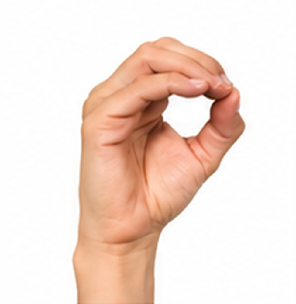 ASL Letter O Sign Language Hand Gesture