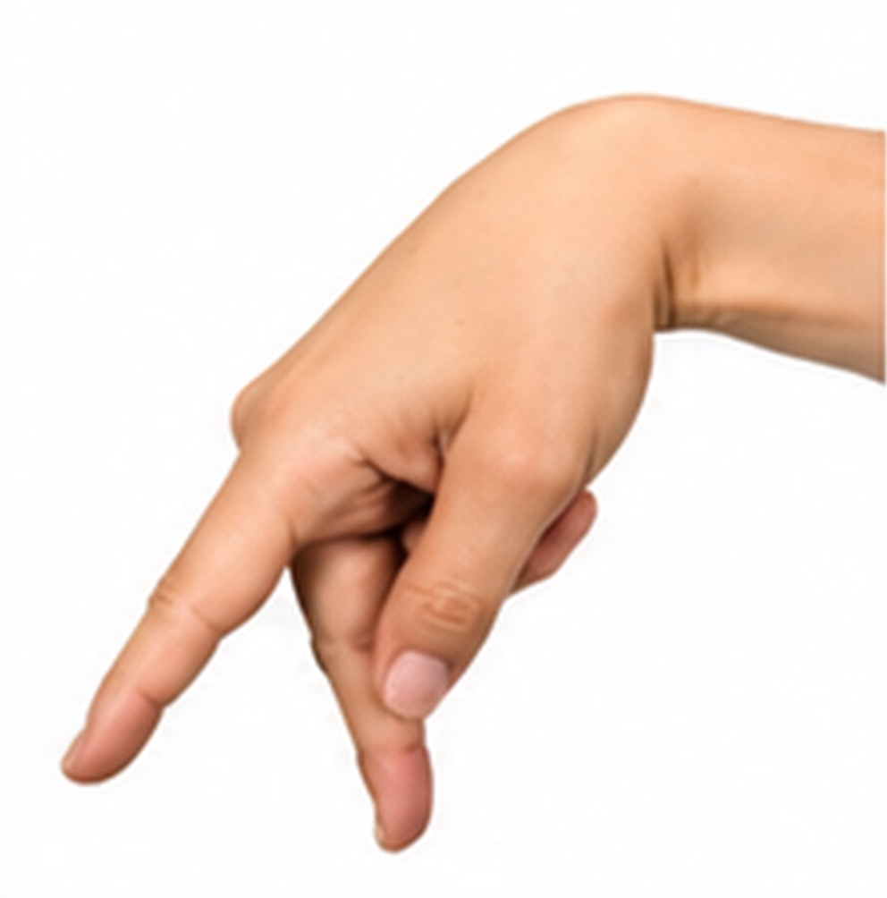 ASL Letter P Sign Language Hand Gesture