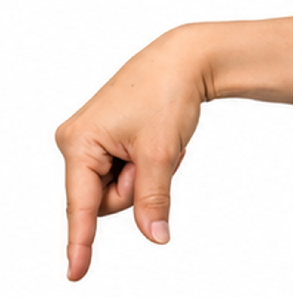 ASL Letter Q Sign Language Hand Gesture