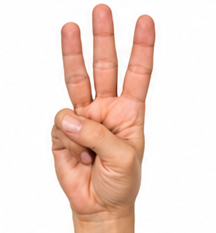 ASL Letter W Sign Language Hand Gesture