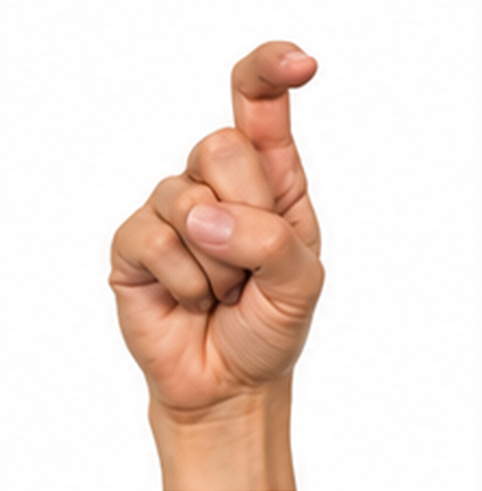 ASL Letter X Sign Language Hand Gesture